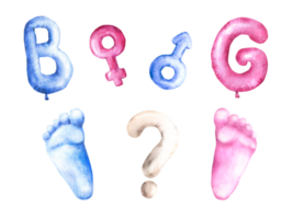 Gender reveal party set Letters B and G, Mars and Venus gender sing, footprint, question mark. Baby Boy or girl, he or she, birthday party Watercolor painted illustration png