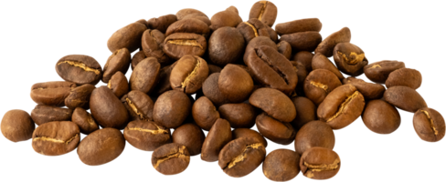 isolated coffee beans cut out on transparent background. png