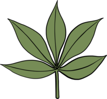 dessin à main levée feuille de cannabis simplicité png