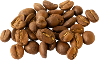 isolated coffee beans cut out on transparent background. png