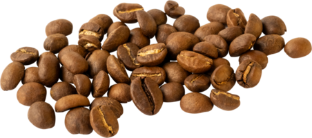 isolated coffee beans cut out on transparent background. png