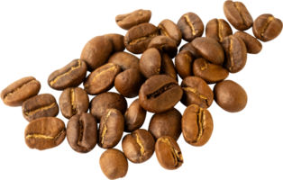 isolated coffee beans cut out on transparent background. png