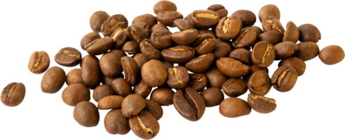 isolated coffee beans cut out on transparent background. png