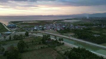 aéreo Visão do lindo dourado pôr do sol dentro a campo video