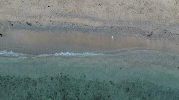 aereo Visualizza di sabbioso spiaggia e oceano con onde. scena di superiore Visualizza spiaggia e acqua di mare su sabbioso spiaggia nel estate video