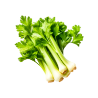 Fresh celery isolated Generative Ai png