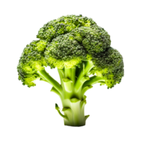 Fresh broccoli vegetable Generative Ai png