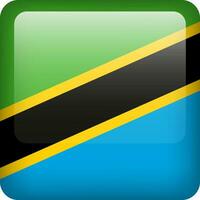 3d vector Tanzania flag glossy button. Tanzanian national emblem. Square icon with flag of Tanzania