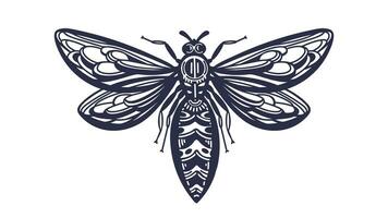 Art bee. Vintage label. Vector tattoo, sketch