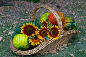 cesta lleno de frutas y otoño flores foto