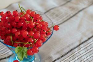 Red currant closeup on the twigs in a transparent vase on a linen blanket photo