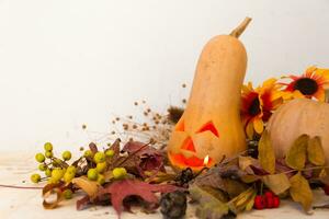 halloween pumpkins on white background with space for text photo