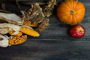 top view of autumn harvest with place for text photo