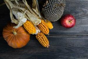 top view of autumn harvest with place for text photo