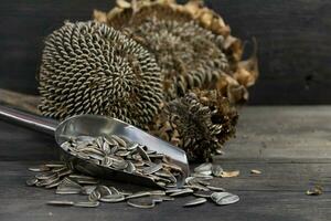 sunflower seeds and dried flowers on rustic background photo