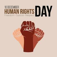 10 December, Human Rights Day Design for celebration the Human Rights Day with recover better - stand up for human rights vector