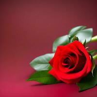 Red roses isolated background AI generated photo