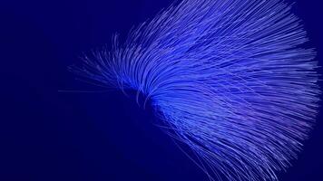 Abstract digital background.Data flow information.Concept of digital communica video