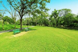 Beautiful morning light in public park with green grass field. photo