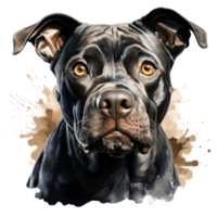 Staffordshire toro terrier perro mira sorprendido con grande ojos . ai generado png