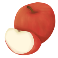 appel fruit illustratie png