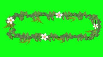 Floral frame with white flowers green screen video