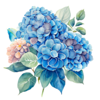 Hydrangea Flowers Bouquet Beautiful  AI Gererative png