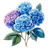 ortensia fiori mazzo bellissimo ai gererativo png