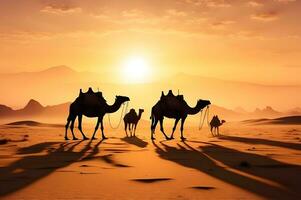 Silhouette of a caravan of camels in the desert at sunset photo