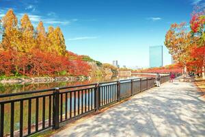 osaka, Japón - 21 nov 2018 - el color otoñal parque en los ciudadanos bosque parque cerca Osaka castillo foto