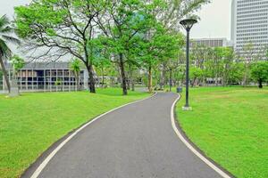 Beautiful garden in daytime photo