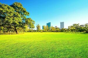 Beautiful garden in daytime photo