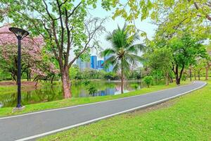 Beautiful garden in daytime photo