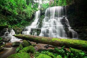 cascada en el selva de tailandia, hombre maldición foto