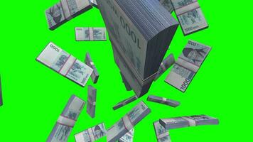 Green Screen South Korean Won Banknotes Slow-Motion Cash Fall Rain of 1000 Won video