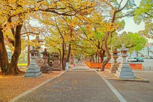 osaka, Japón - 21 nov 2018 - sumiyoshi grandioso santuario o sumiyoshi taisha en Osaka ciudad, Kansai foto