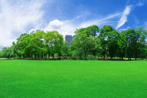 In city parks, lawns photo