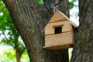 casa de el aves en el arboles foto