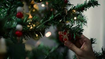 de handen van een vrouw zittend Holding een gevuld hert Aan een Kerstmis boom video