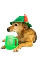 portrait of a mongrel dog with a bavarian hat and a mug of beer photo