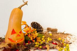 Víspera de Todos los Santos calabazas en blanco antecedentes con espacio para texto foto