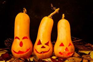 original decorations with long neck pumpkins halloween photo