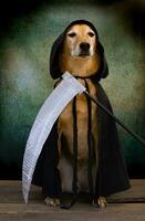 Dog dressed in black cape with hood and scythe photo