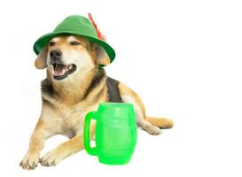 portrait of a mongrel dog with a bavarian hat and a mug of beer photo