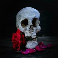 human skull with roses for day of the dead photo