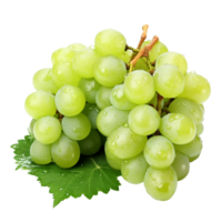 bunch of grapes isolated on a transparent background AI Generative png