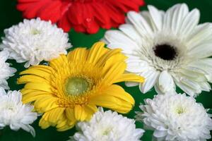 gerbera flores flotante en el agua con verde antecedentes foto