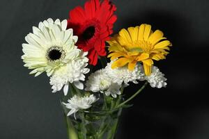 Bouquet of gerbera flowers on dark background photo