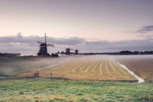 Mañana con niebla a el Tres molinos de viento a pisar fuerte, el Países Bajos. foto
