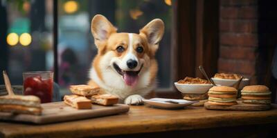 Charming corgi dog joyfully enjoys a delightful meal at a cozy wooden table. AI generative. photo